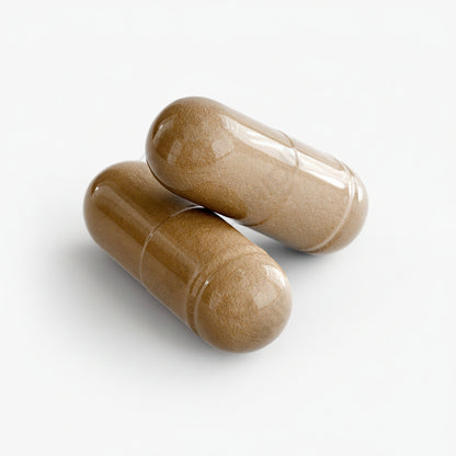 Liver Support